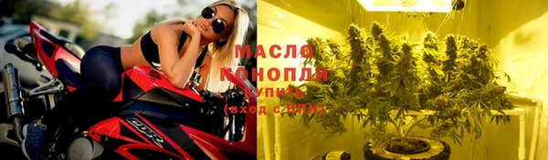 spice Богородск
