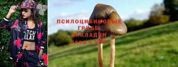 spice Богородск