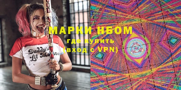 хмурый Гусь-Хрустальный