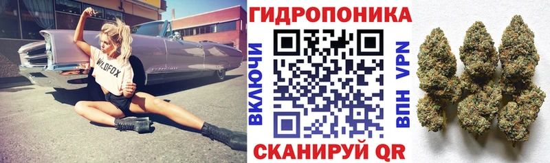 Бошки марихуана Ganja  где можно купить   Новомичуринск 